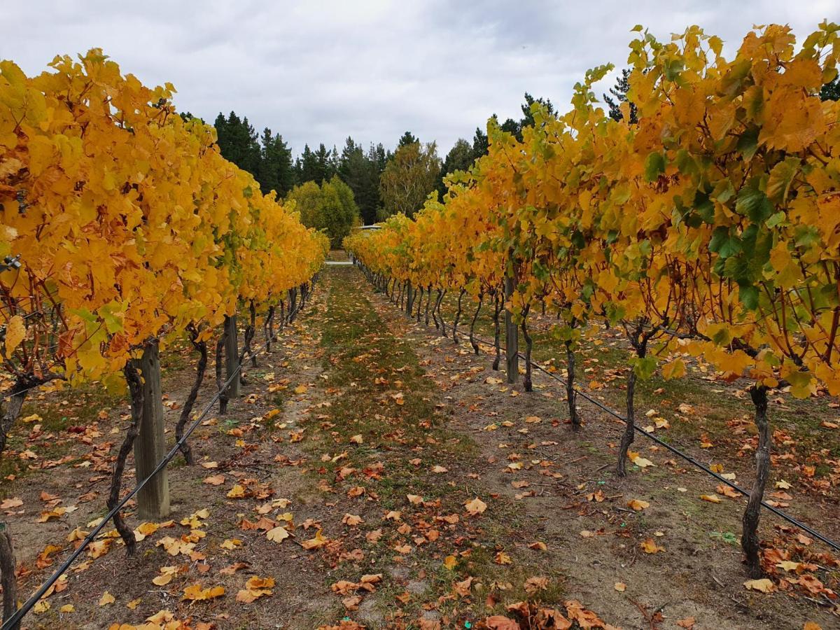 Vines On Bannockburn Bed & Breakfast Cromwell Bagian luar foto